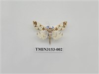 藏品(螟蛾304)的圖片